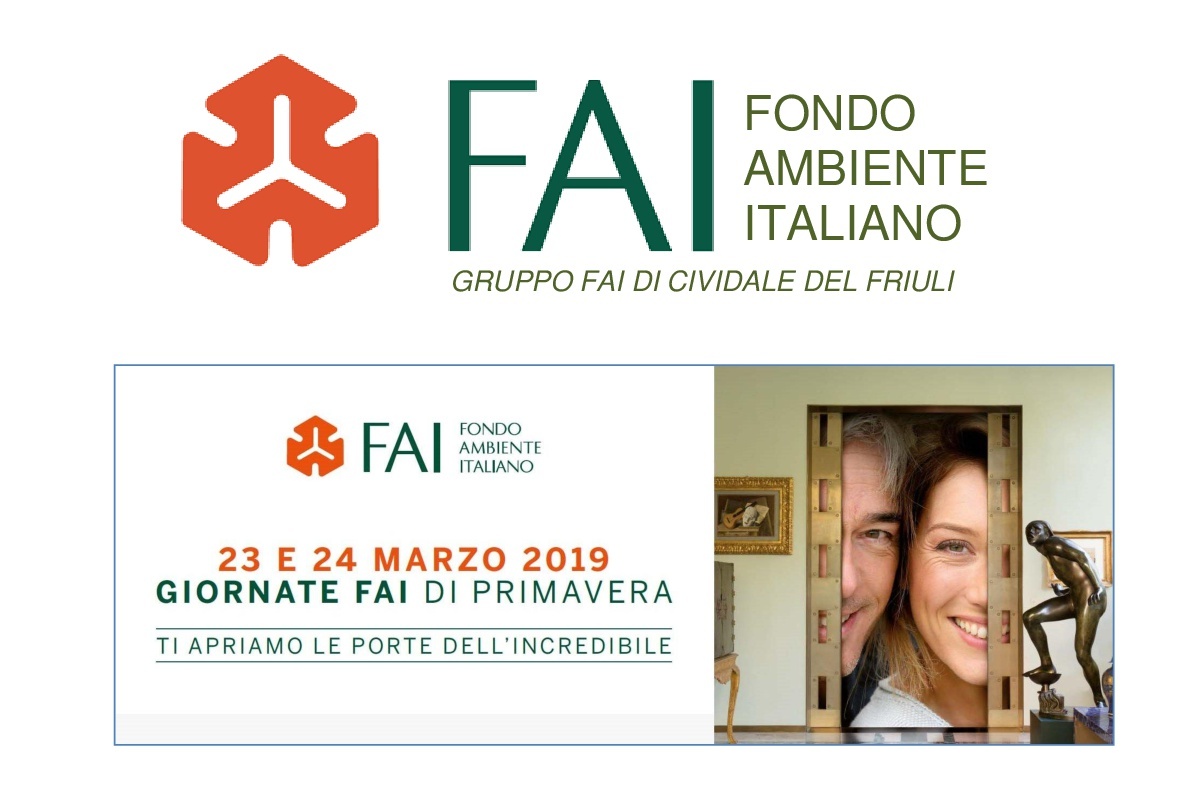 FAI2019